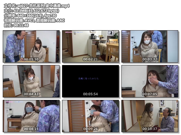 wj027-危机系列_家中遇袭