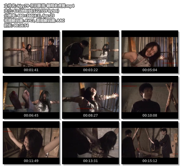 hjyy79-怀旧影苑-翱翔老虎凳