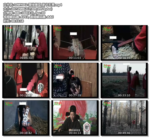 LJMY042-丽佳美亚_新十五贯