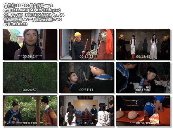 SJSZ40-侠女悲歌