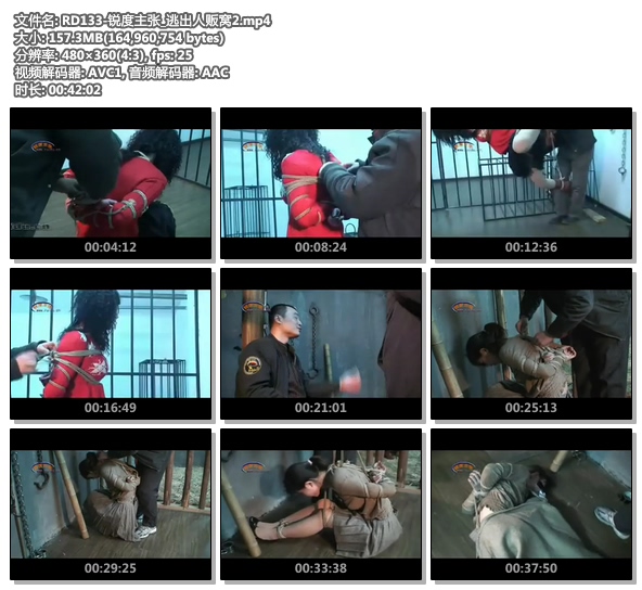 RD133-锐度主张_逃出人贩窝2