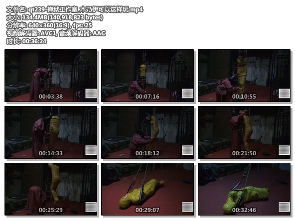 qt239-禅狱工作室_木乃伊可以这样玩