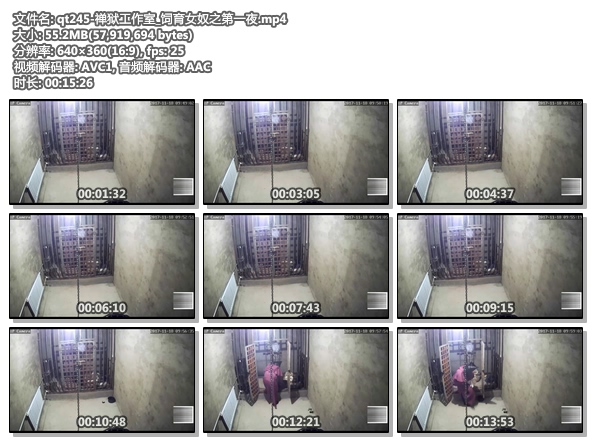 qt245-禅狱工作室_饲育女奴之第一夜