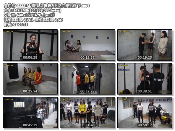 C228-MJ影视_红蜘蛛系列之完美犯罪 下