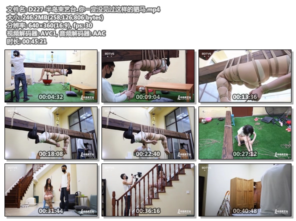 D227-半岛束艺台_你一定没见过这样的驷马
