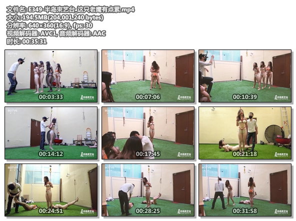E349-半岛束艺台_这只老鹰有点累