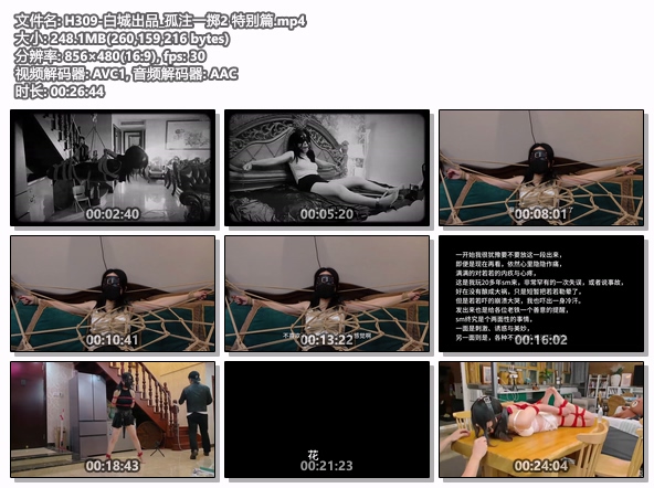 H309-白城出品_孤注一掷2 特别篇