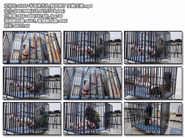 H355-半岛束艺台_我皮痒了 矢崎主演