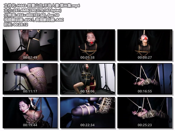 H443-胜景山庄_不良人妻 第二集