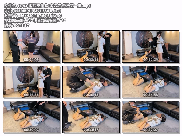 H793-雨辰工作室_多奴养成记 第一集