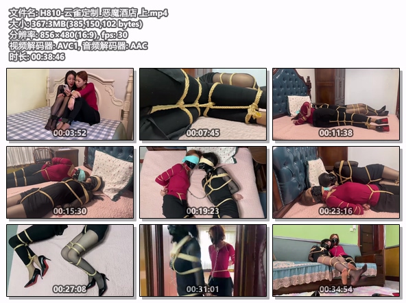 H810-云雀定制_恶魔酒店 上