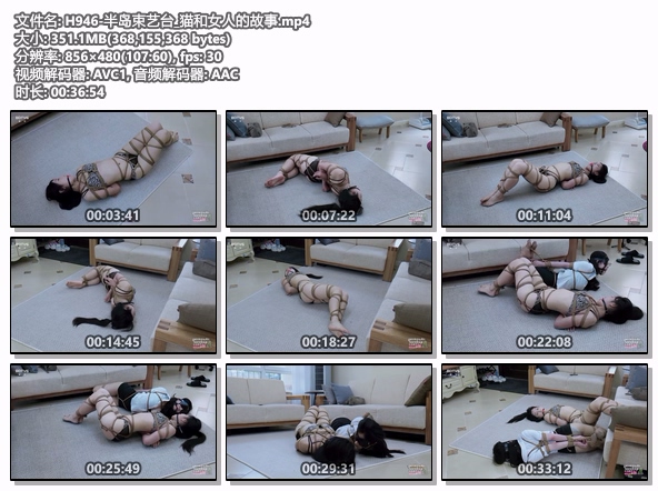 H946-半岛束艺台_猫和女人的故事